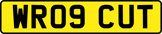 WR09CUT