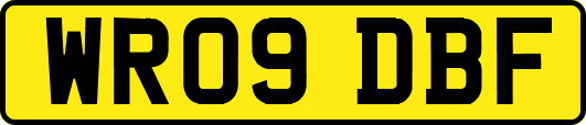 WR09DBF