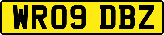 WR09DBZ
