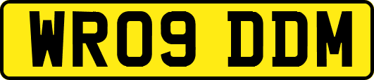 WR09DDM