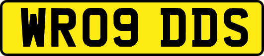 WR09DDS