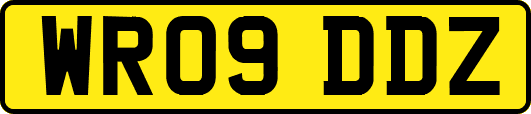 WR09DDZ
