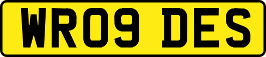 WR09DES