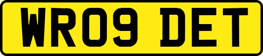 WR09DET