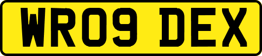 WR09DEX