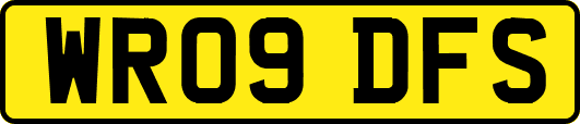 WR09DFS
