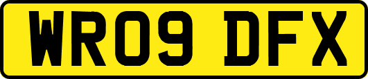 WR09DFX
