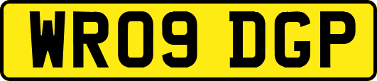 WR09DGP