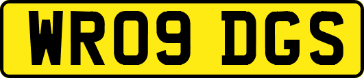 WR09DGS