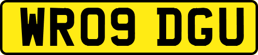 WR09DGU