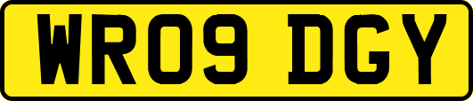 WR09DGY