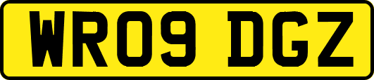WR09DGZ