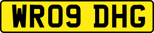 WR09DHG