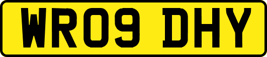 WR09DHY