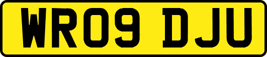 WR09DJU