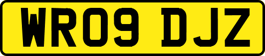 WR09DJZ