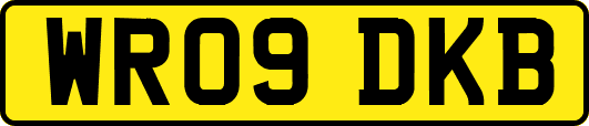 WR09DKB