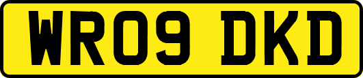 WR09DKD