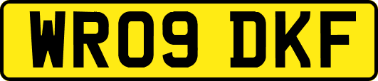 WR09DKF