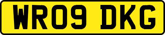 WR09DKG