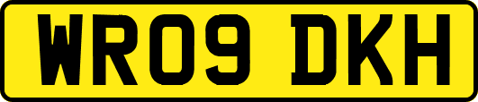 WR09DKH