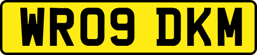 WR09DKM