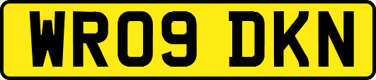 WR09DKN