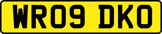 WR09DKO