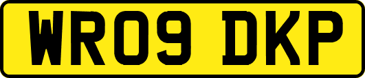 WR09DKP
