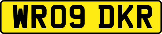 WR09DKR