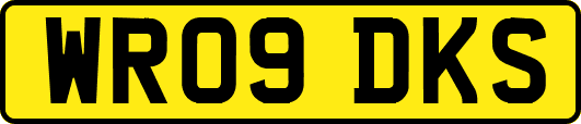 WR09DKS