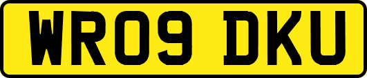 WR09DKU