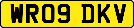 WR09DKV