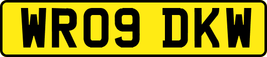 WR09DKW