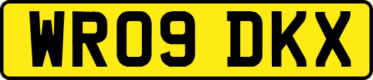 WR09DKX