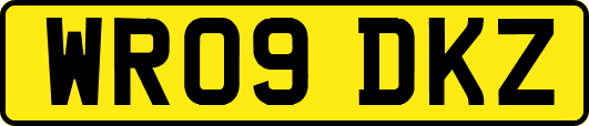 WR09DKZ