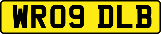 WR09DLB