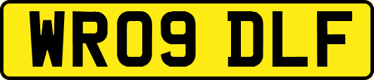 WR09DLF