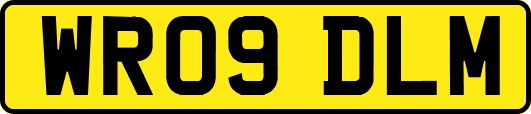 WR09DLM