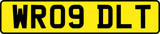 WR09DLT