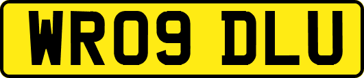 WR09DLU