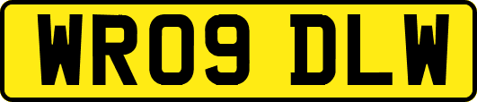 WR09DLW