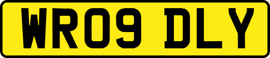 WR09DLY