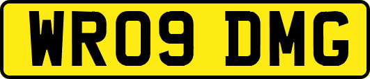 WR09DMG