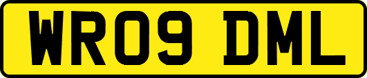 WR09DML