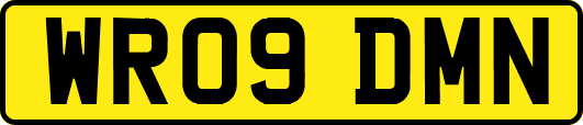 WR09DMN