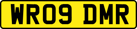 WR09DMR