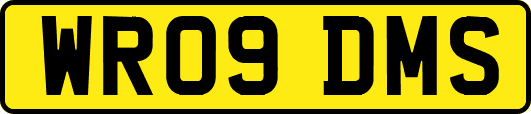 WR09DMS