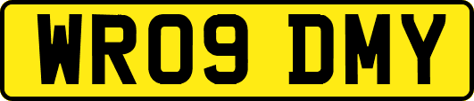 WR09DMY