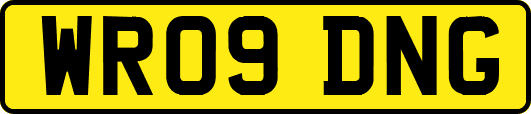 WR09DNG